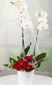 2 dall beyaz orkide 7 adet krmz gl  Bilkent Ankara iek yolla 14 ubat sevgililer gn iek 