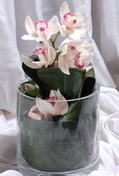  Ankara iek internetten iek siparii  Cam yada mika vazo ierisinde tek dal orkide