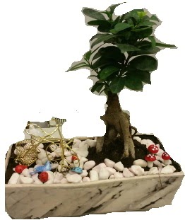 Japon aac bonsai sat  Ankara iek anneler gn iek yolla 