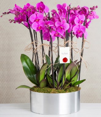 11 dall mor orkide metal vazoda  Bilkent Ankara iek iek gnderme sitemiz gvenlidir 