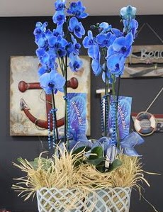 4 dall zel mavi orkide  Bilkent Ankara iek iek siparii vermek 