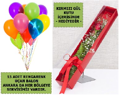 15 Adet uan balon ve kutuda krmz gl  Bilkent Ankara iek iek , ieki , iekilik 
